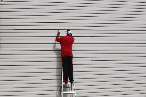 Best Fascia and Soffit Installation  in Anchorage, AK